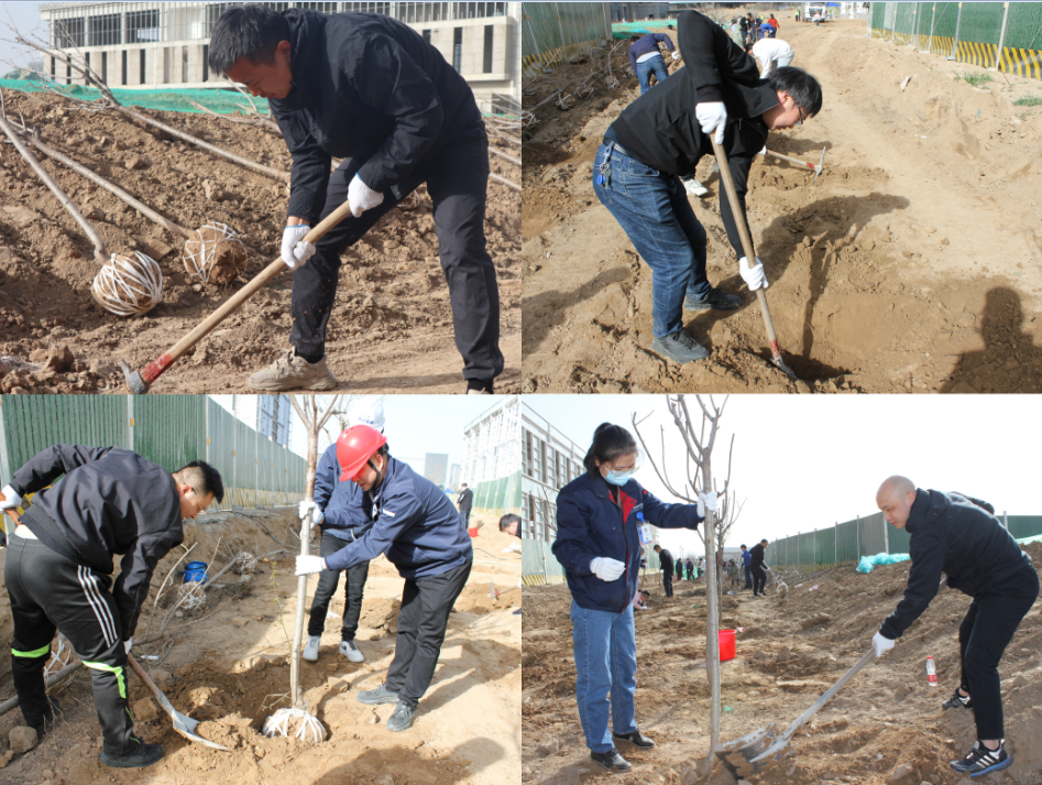 賽特公司開展“栽種新希望，奮進(jìn)新征程”植樹節(jié)主題活動(dòng)